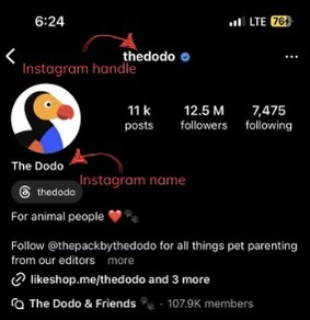 A screenshot seprating IG handle and name
